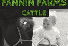 Fannin
